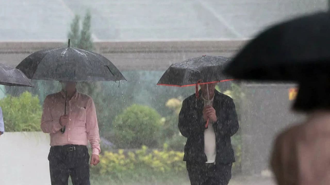 출근길 짙은 안개·강풍…지역별 안전 수칙 확인