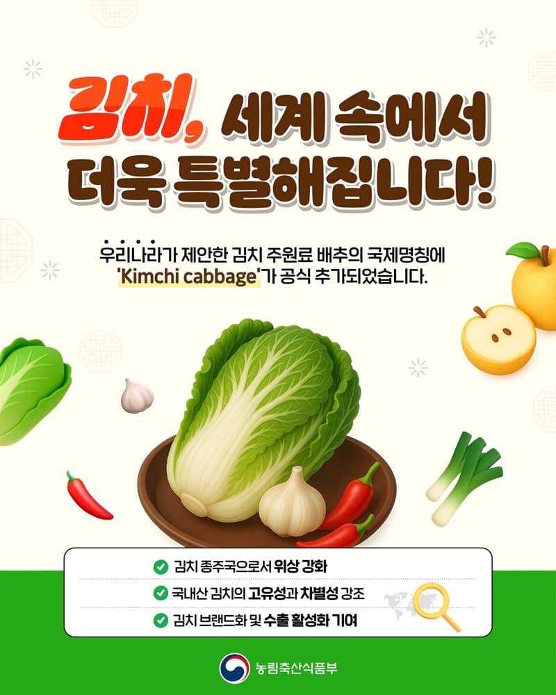‘김치 배추’ 국제 공식 명칭 등록, K-김치 위상 더욱 높아진다
