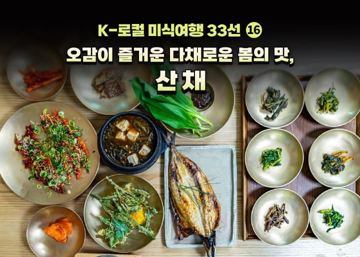 평창 봄 산채, 지금 맛보면 면역력과 활력 혜택이 내 것이 된다