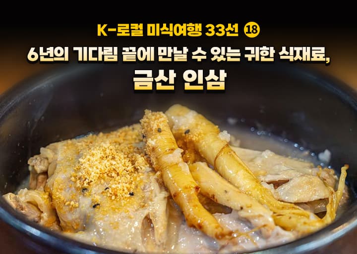 지금 금산에 가면 돈 아끼고 건강 챙긴다! 사포닌 2배 인삼 득템 찬스!