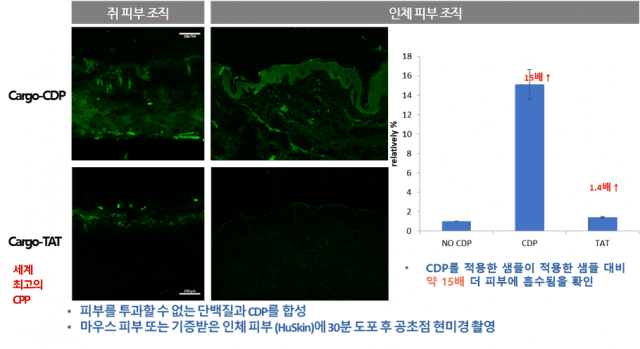 칸젠, 췌장암 치료 새 희망 쏜다! 우리 가족 건강 지킨다