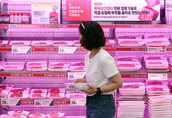 소고기, 돼지고기, 계란 값 ‘확’ 내린다! 정부 유통구조 개선으로 가계 지출 줄인다