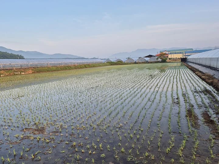 농기계 사고 나면 119 자동 연결…정부 안전대책 본격화