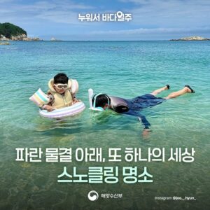 에메랄드빛 바다 아래 펼쳐지는 새로운 스노클링 명소들: 갈남항, 판지항, 코난해변, 연대도 완벽 정복!
