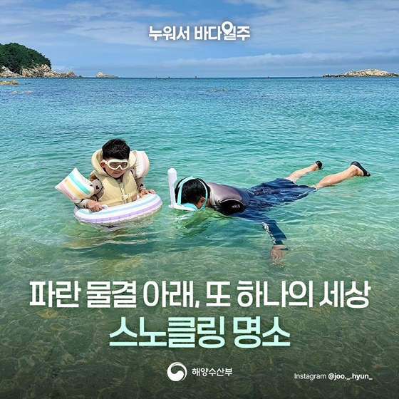 에메랄드빛 바다 속으로, 한국 숨겨진 스노클링 명소 6가지