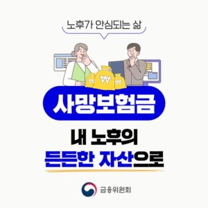 사망보험금을 활용한 노후 소득 공백 해결 방안 발표