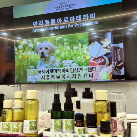 내 반려동물 건강 지킴이, 만능 아로마 연고 직접 만들어요!