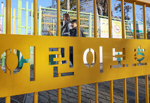 우리 아이 통학로, 이제 더 안전해진다! 초등학교 주변 위해요소 합동점검 결과는?