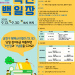 독산백일장 혜택, 나도 받을 수 있다! 글쓰기 실력 키울 기회 온다