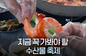 이 가을, 놓치면 후회할 수산물 축제 혜택, 지금 바로 확인하세요!