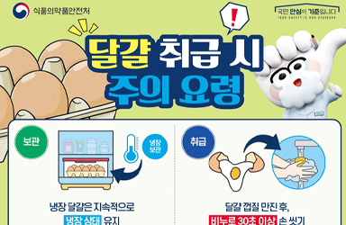달걀, 안심하고 즐기고 건강까지 챙기는 방법!