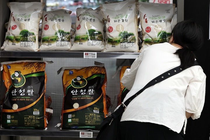 쌀가공식품 원료 부족 걱정 끝! 5만 톤 추가 공급으로 물가 부담 완화