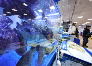 가을철 밥상 안전, 내가 받을 수 있는 넙치·뱀장어 안전 혜택 확인하세요!