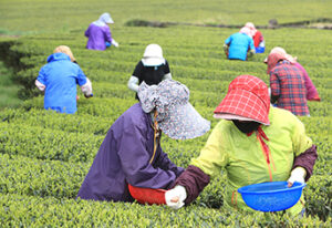 임산부 총 24만원 친환경 농산물 지원받는다! 농가 직불금, 농지지원 혜택도 커진다