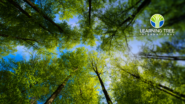 AI 워크포스 솔루션" 출시… 러닝트리 인터내셔널, AI 시대 대비 지원