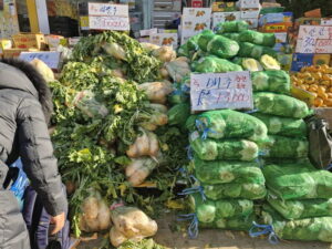 농축수산물 최대 50% 할인 김장 준비하세요