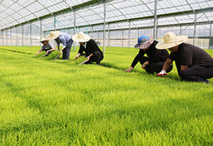 농업인이라면 주목! 농지 양도세 부담 확 줄고, 각종 세금 혜택 3년 더 받는다