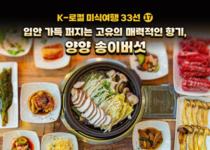 가을 제철 양양 송이버섯, 100만원 가치 귀한 맛 직접 경험한다