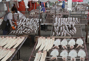 매월 15만원! 인구소멸위기 농어촌 주민, 지역사랑상품권 받는다