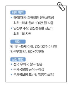 임신부라면 놓치지 마라! 정부가 보험료 전액 지원하는 '대한민국 엄마보험'으로 최대 100만원 받는다