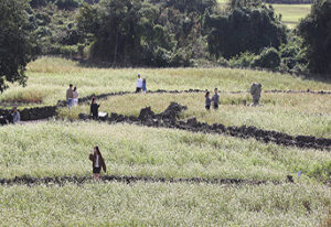 새해, 놓치면 후회할 혜택! 문화누리카드 15만원 받고, 자녀 교육비 부담 던다