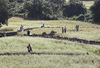 새해, 놓치면 후회할 혜택! 문화누리카드 15만원 받고, 자녀 교육비 부담 던다