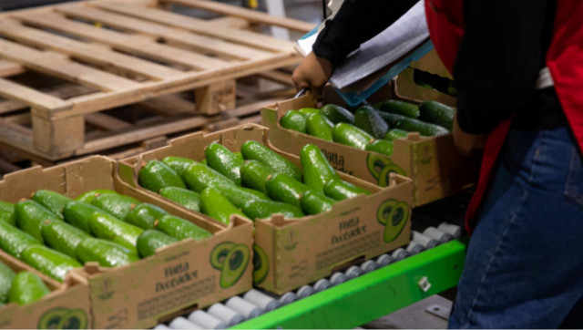 대한민국이 페루 농산물 아시아 거점! 우리 식탁에 이국적인 맛이 풍성해진다