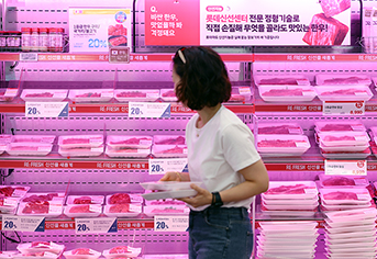 소고기, 돼지고기, 계란 값 '확' 내린다! 정부 유통구조 개선으로 가계 지출 줄인다