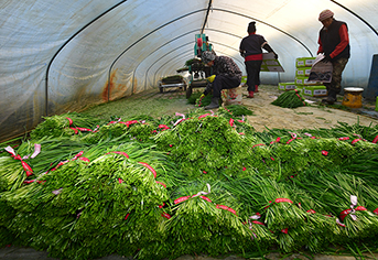 외국인 계절노동자, 이제 안심하고 일한다! 정부, 특별점검으로 인권 보호에 나선다