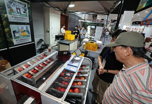 농촌 창업 꿈꾼다면 주목! 유휴시설 활용해 K-컬처 사업 키우고 정부 지원 받는다