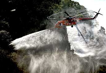 내 삶의 안전 지킨다! 산불 피해 막는 국가산불방지센터 출범 소식