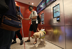 전국 키오스크, 이제 누구나 편리하게 쓴다!