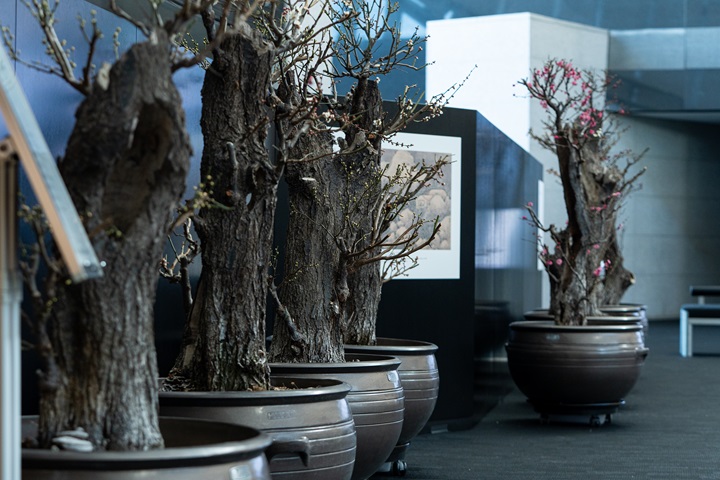 설 연휴, 텅 빈 지갑으로 즐기는 ‘무료’ 문화생활 총정리