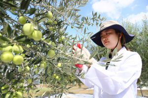 정부가 등록금 65% 지원, '그린바이오' 석사 학위 딴다