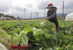 이 지역 살면 매달 15만원 준다, 대상 지역 확인 필수