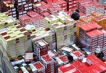 사과·배 반값에 산다, 설 명절 장바구니 물가 잡는다