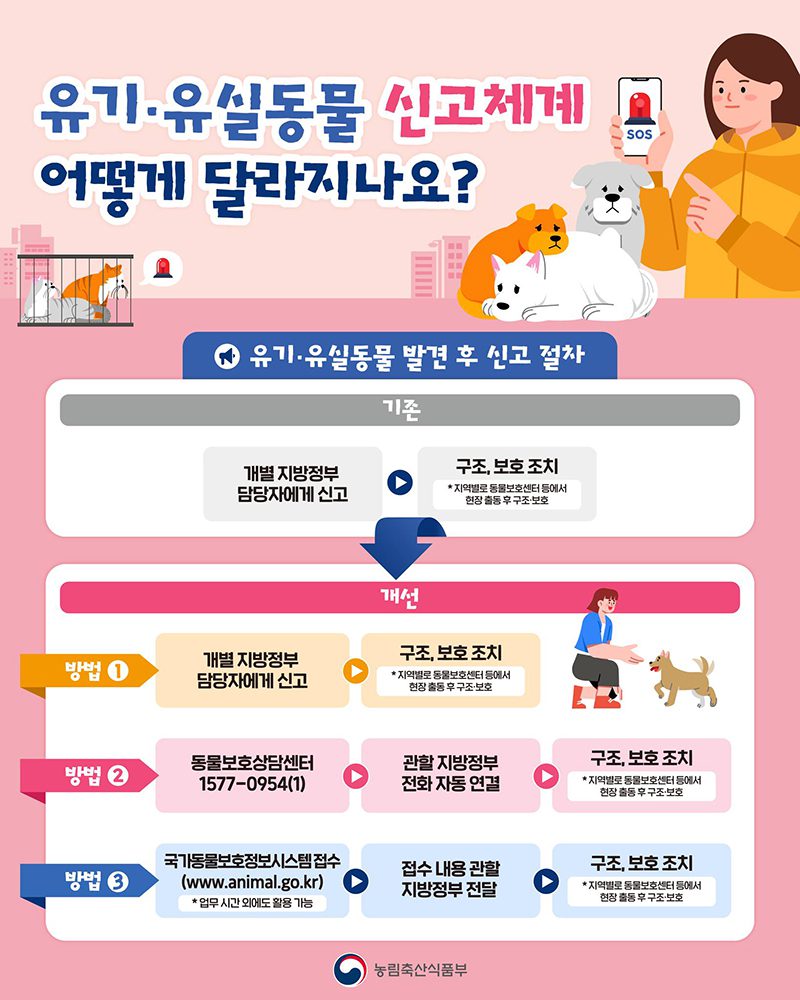 길 잃은 동물 발견하면 이제 전국 통일 번호로 신고한다