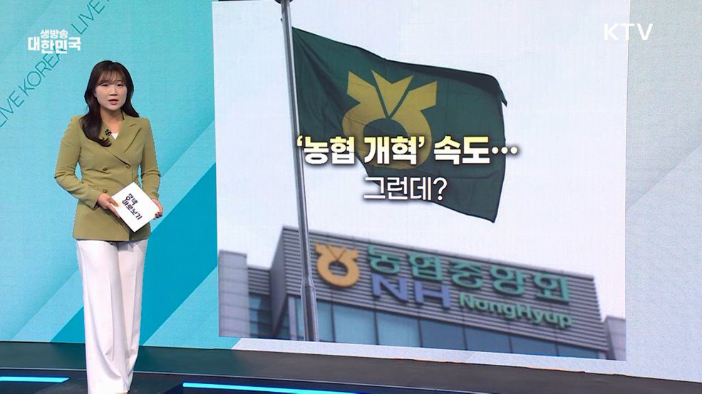 반려견과 함께 갈 식당 찾는 발걸음 가벼워진다