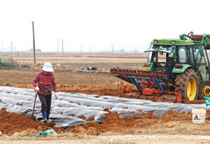 섬·벽지 주민 주목, 4월부터 '맞춤 통합돌봄' 서비스 시작된다