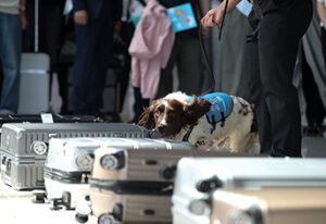우리 동네 파고든 생활 마약 정부가 뿌리 뽑는다