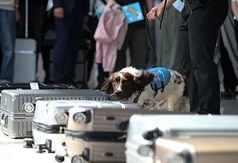 우리 동네 파고든 생활 마약 정부가 뿌리 뽑는다